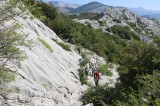 IMG_2540